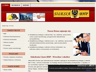 www.silesiabhp.pl